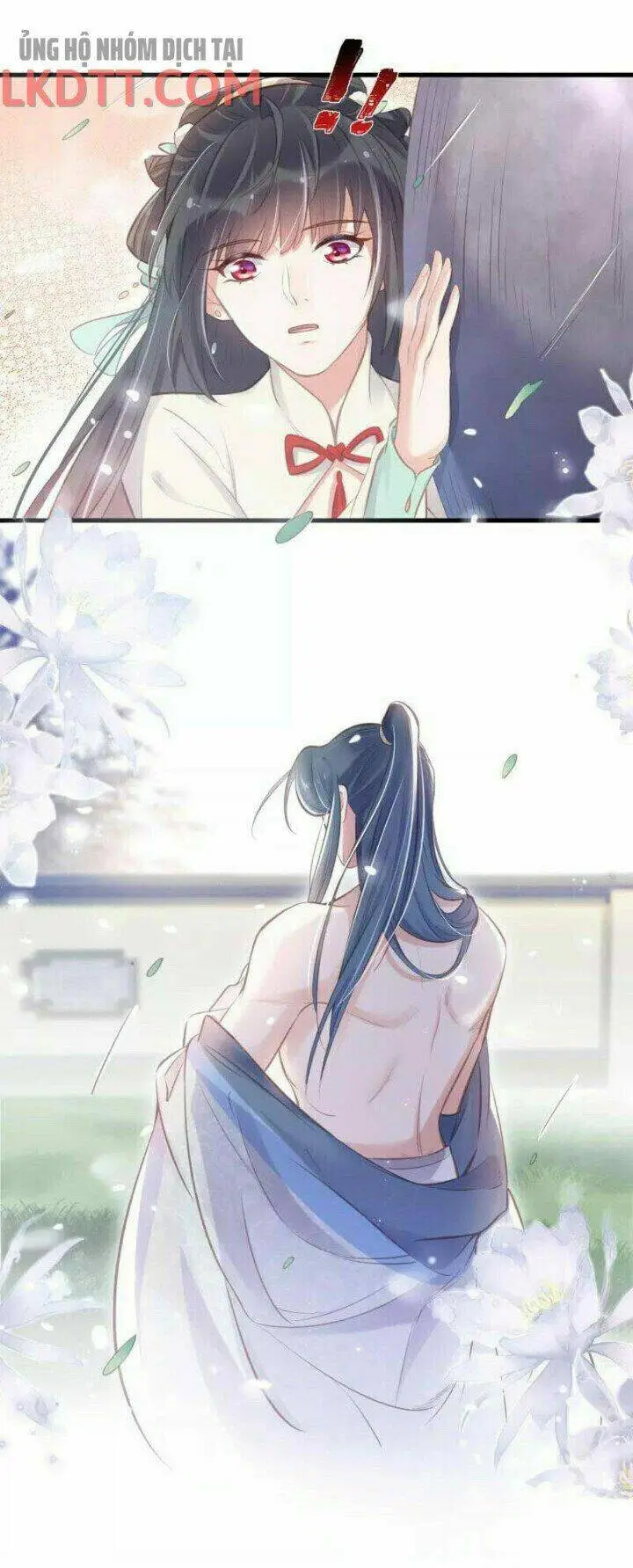Chapter 12