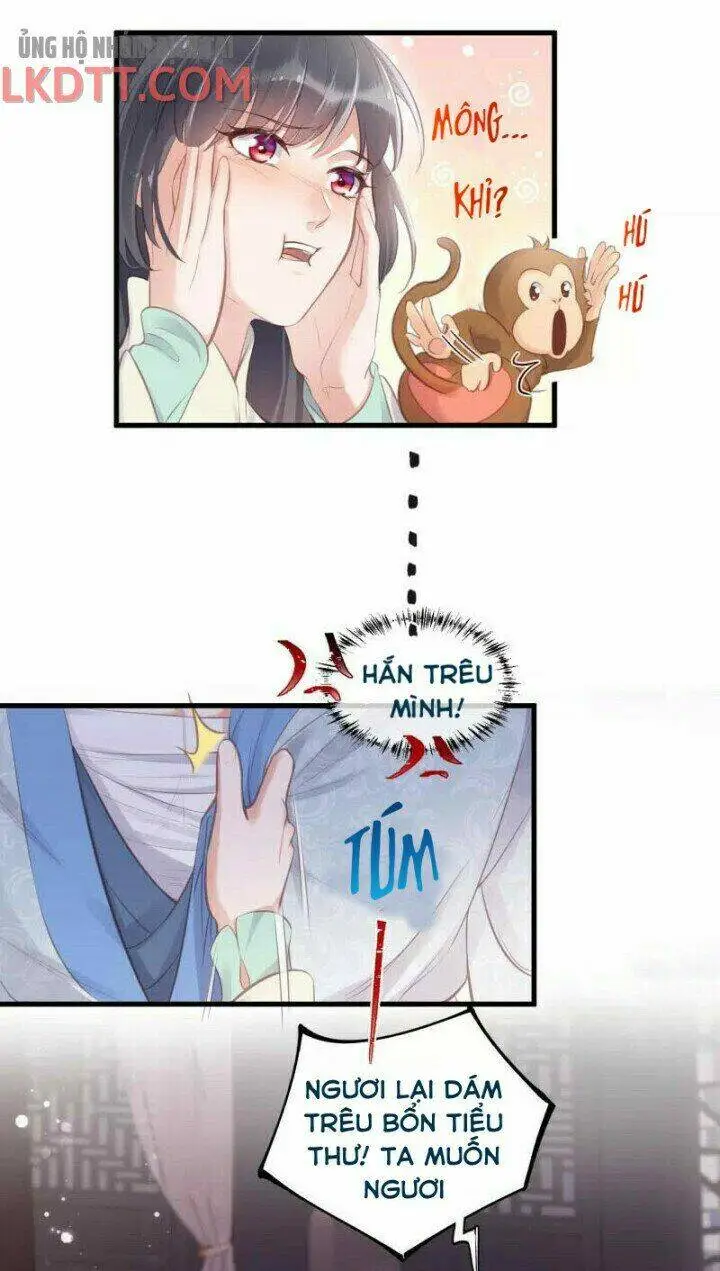 Chapter 12