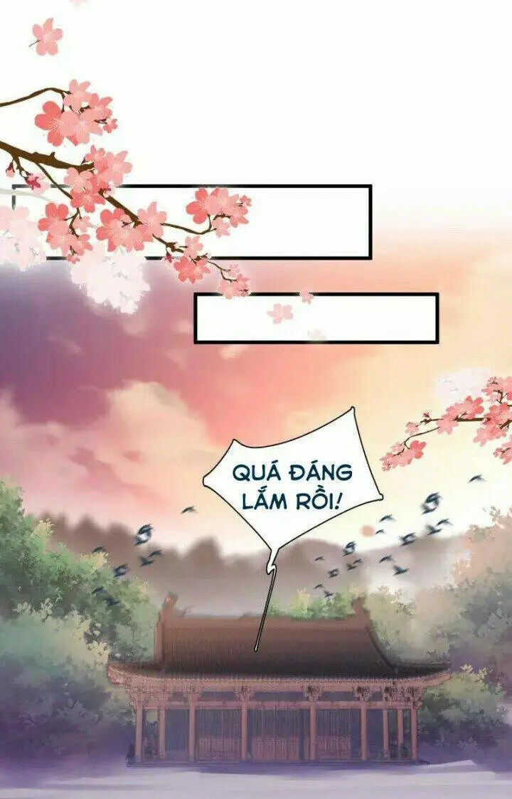 Chapter 12