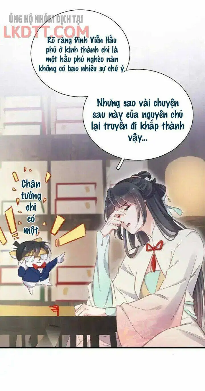 Chapter 11