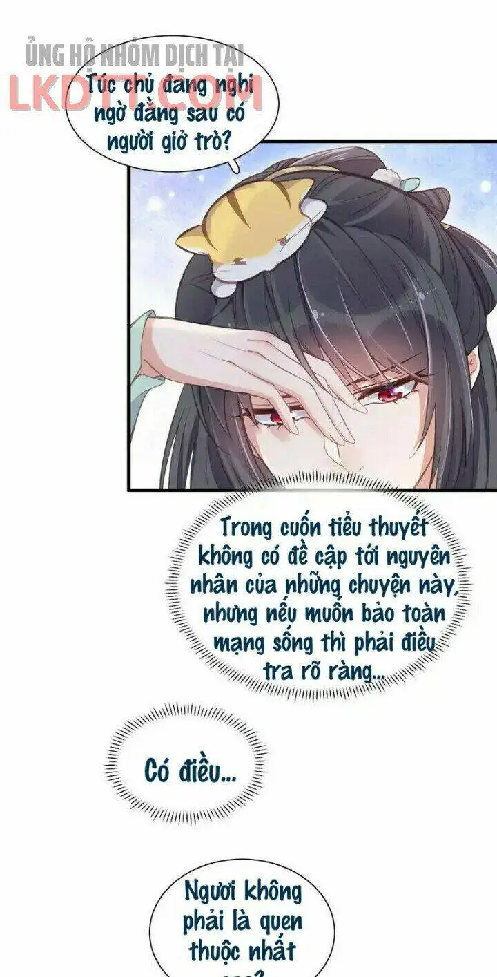 Chapter 11