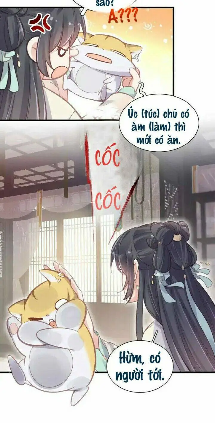 Chapter 11