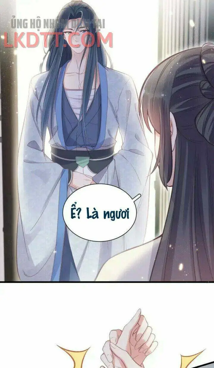 Chapter 11