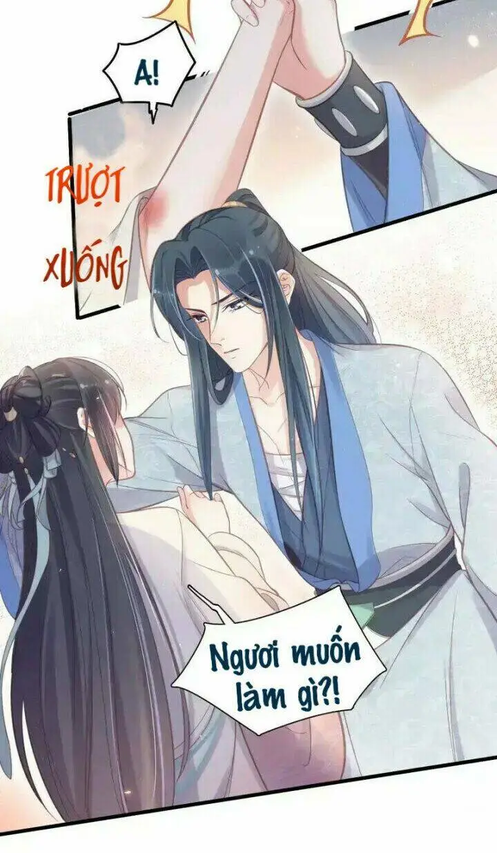 Chapter 11