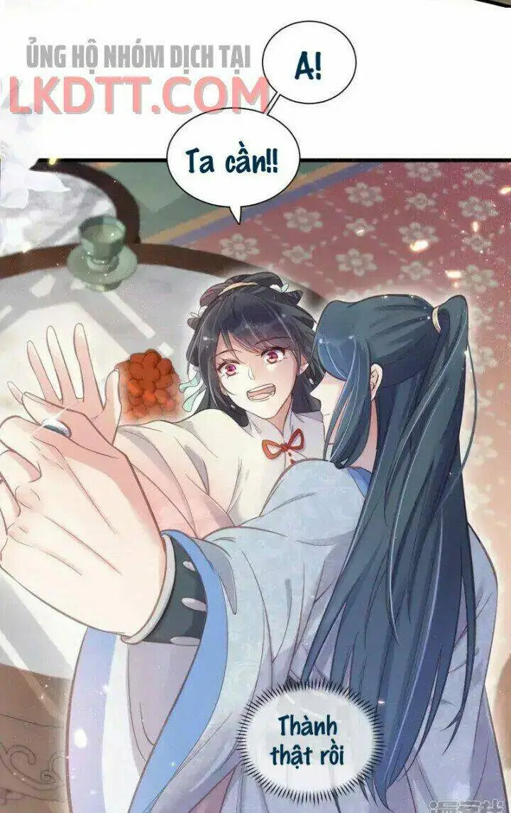 Chapter 11