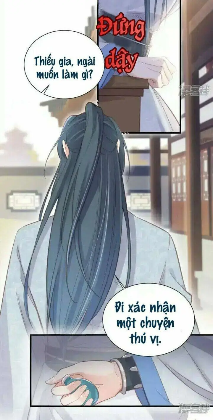 Chapter 11