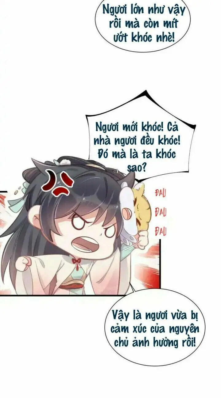 Chapter 11