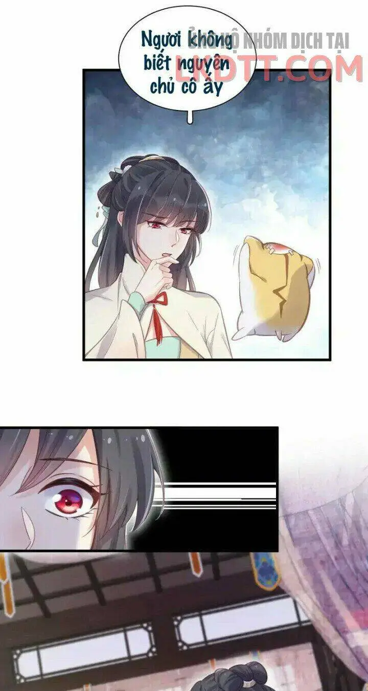 Chapter 11