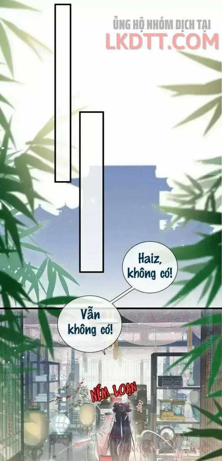 Chapter 10