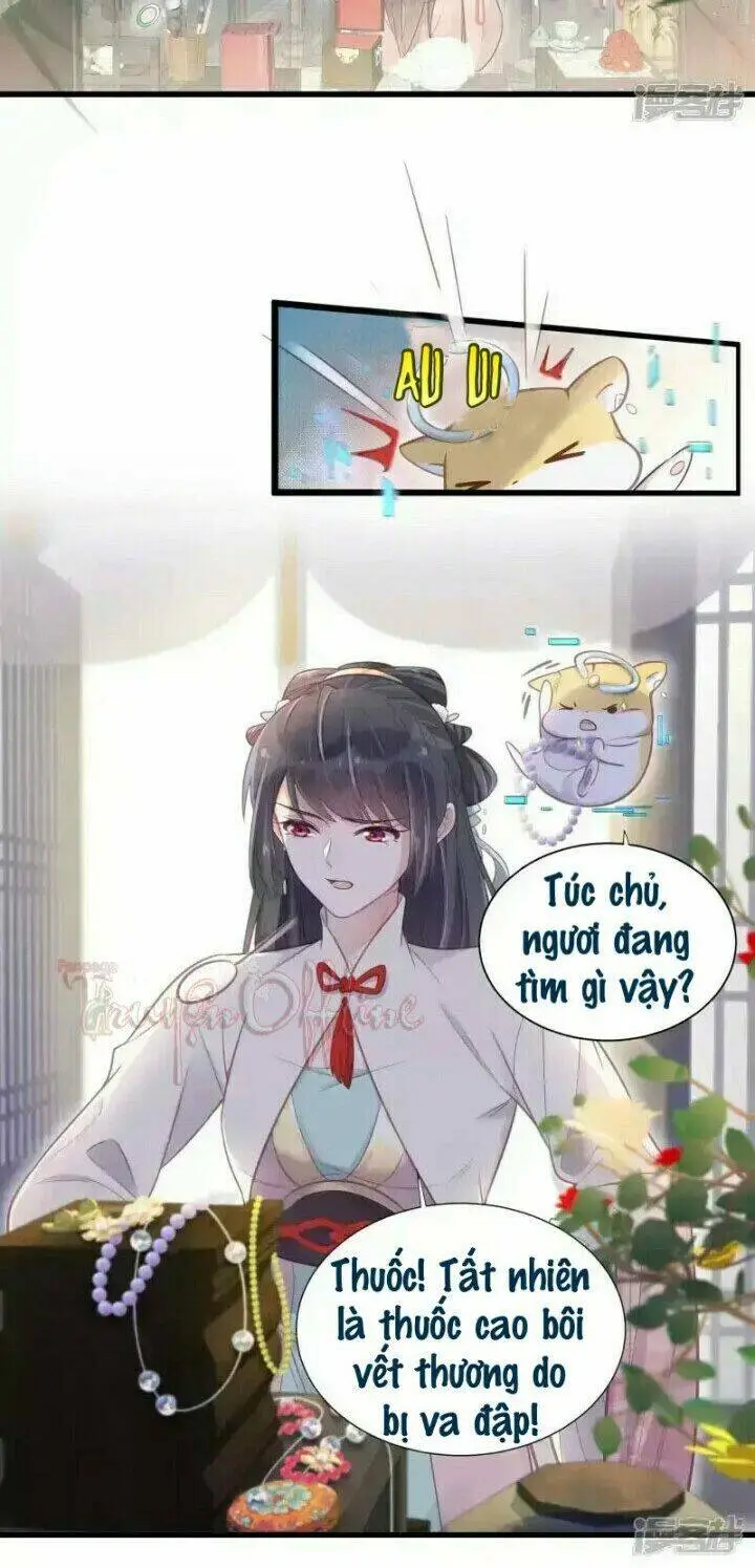 Chapter 10