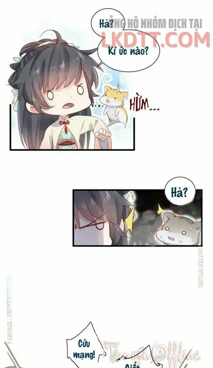 Chapter 10