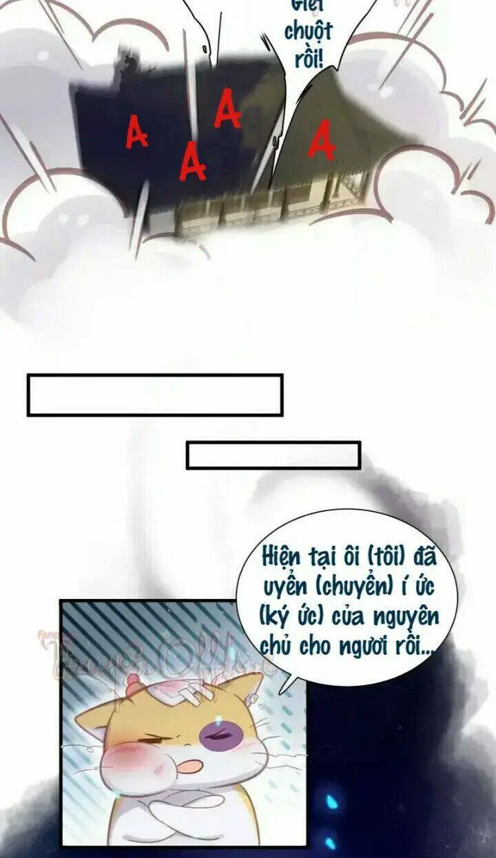 Chapter 10