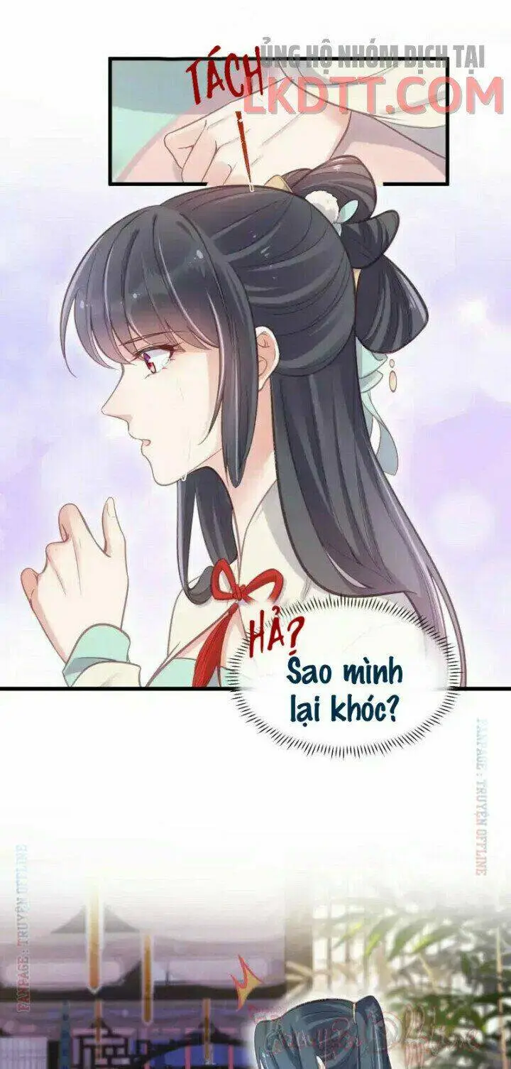 Chapter 10