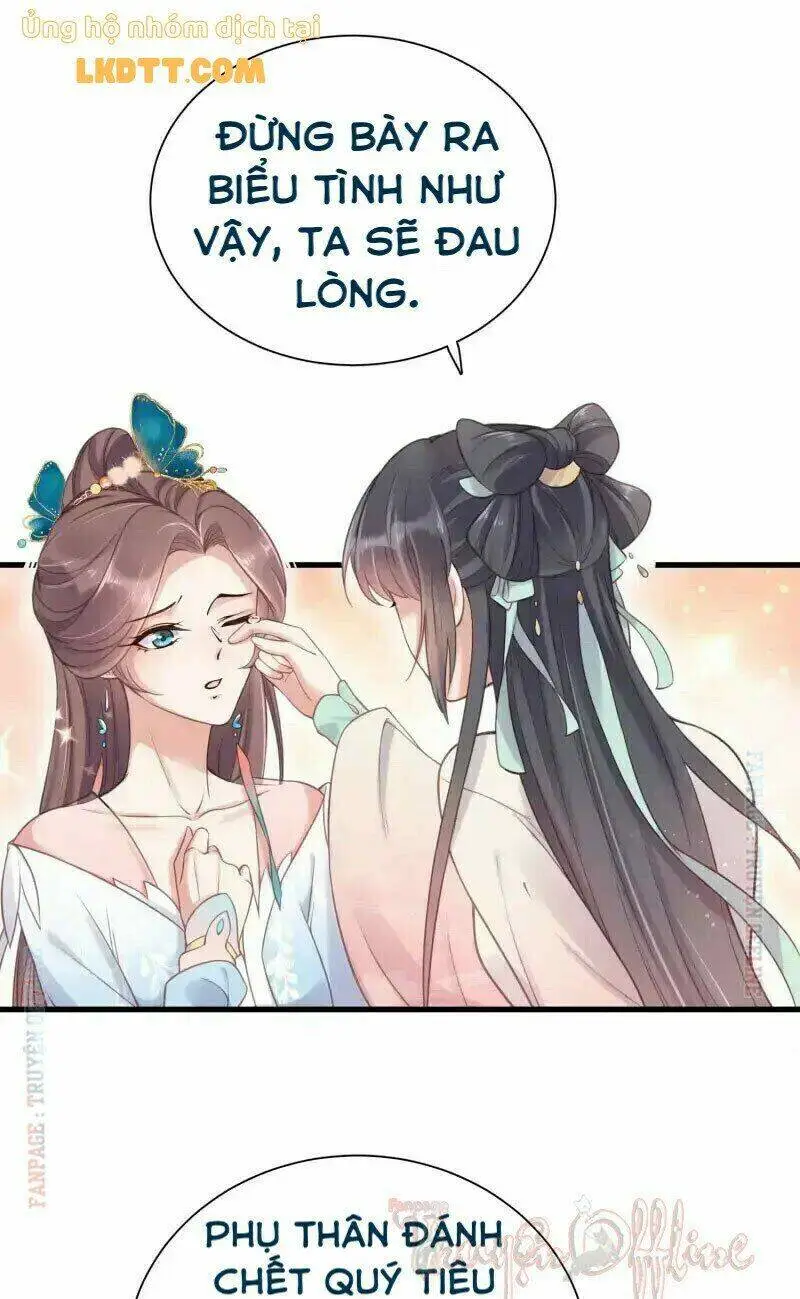 Chapter 8