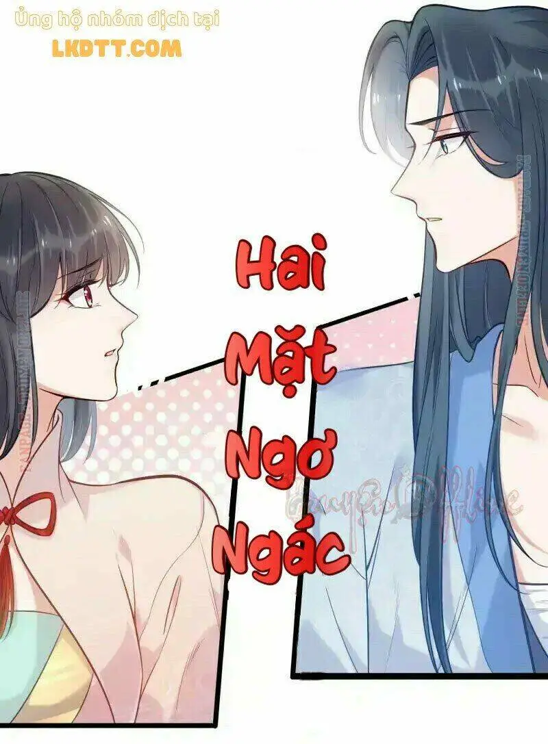 Chapter 7