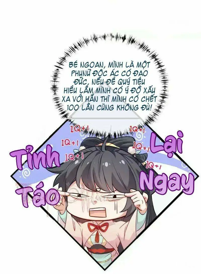 Chapter 7