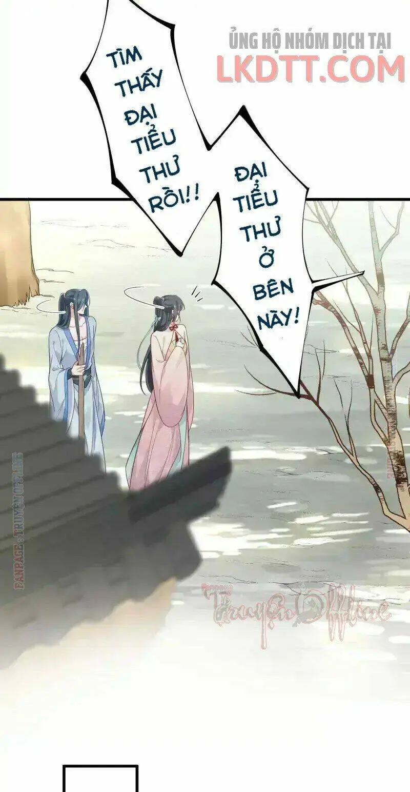 Chapter 7