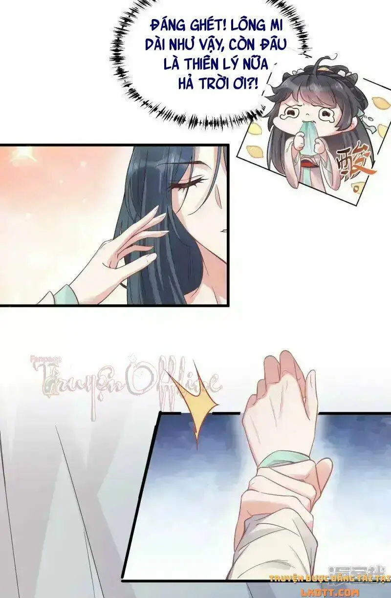 Chapter 5