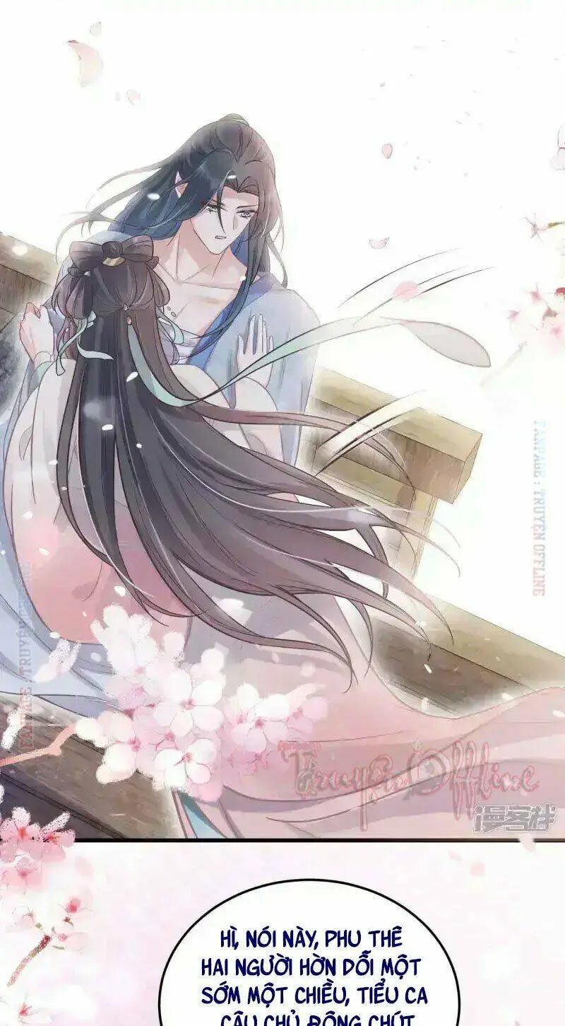 Chapter 5
