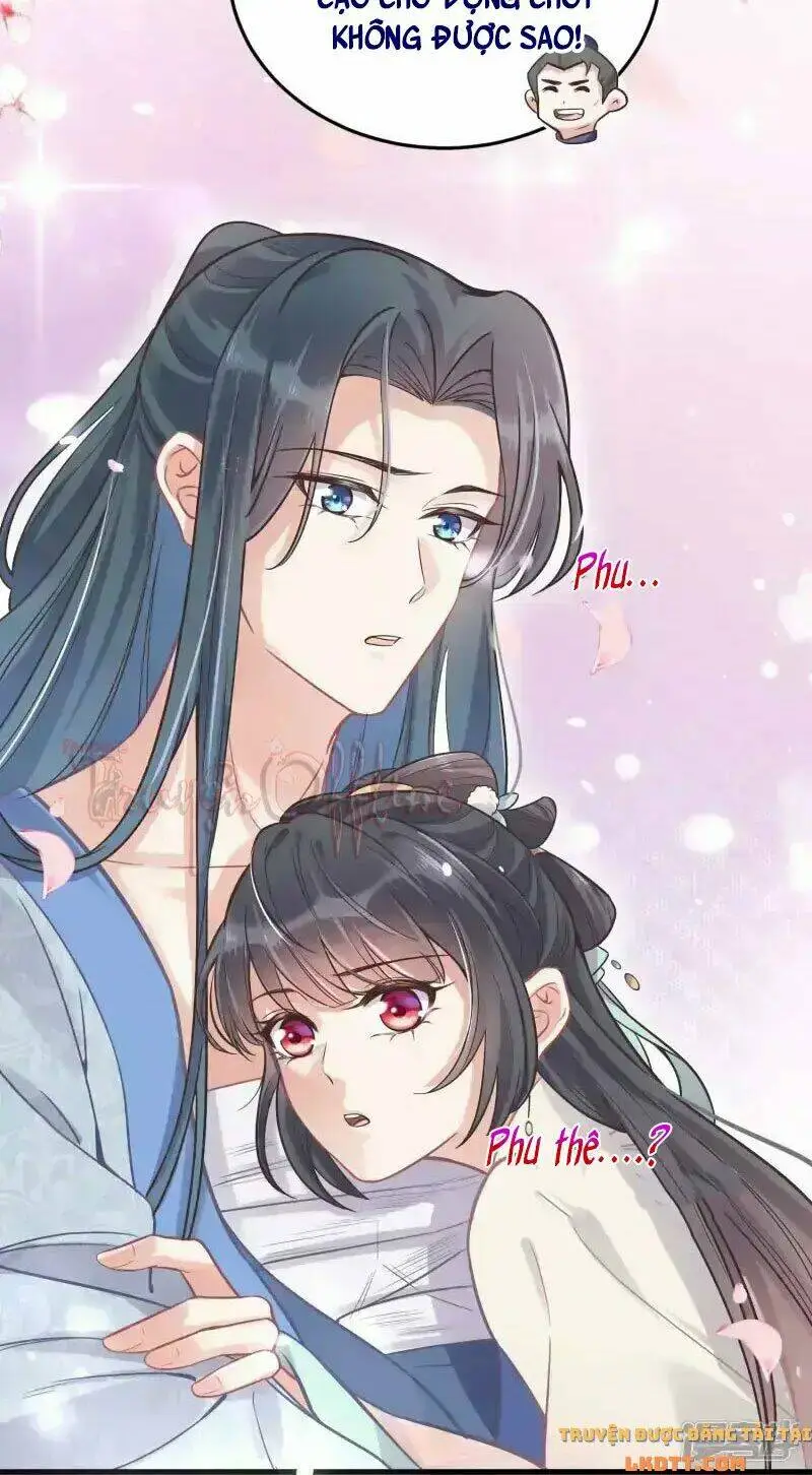 Chapter 5