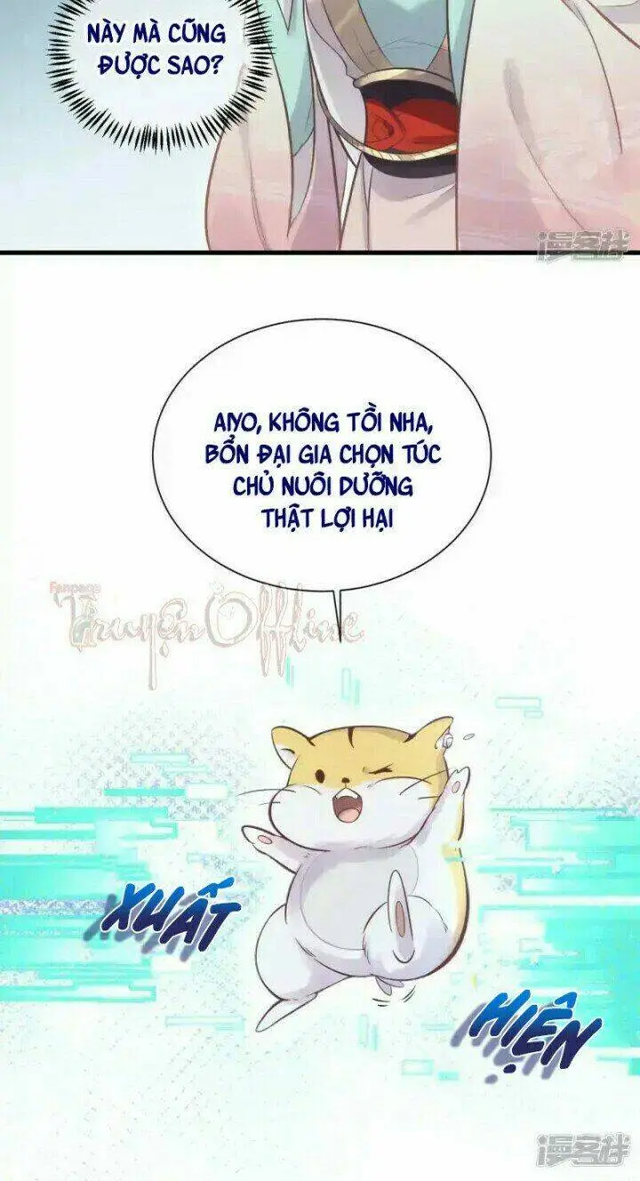 Chapter 4
