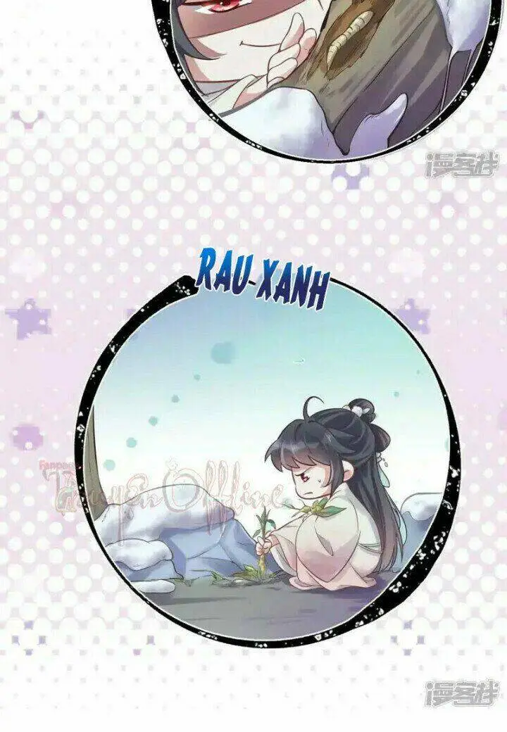 Chapter 4