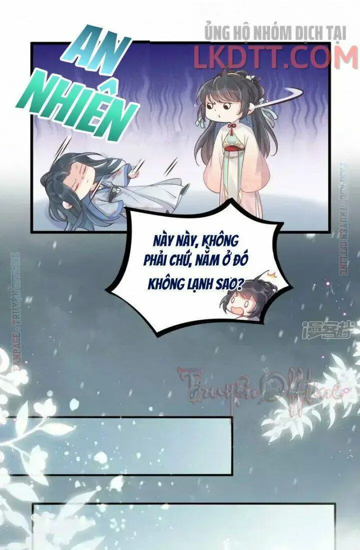 Chapter 3