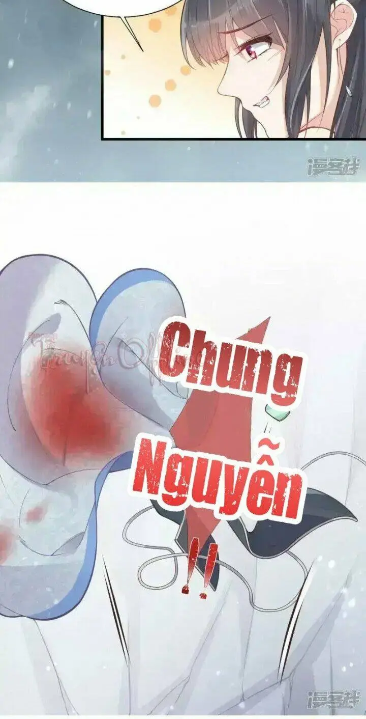 Chapter 3