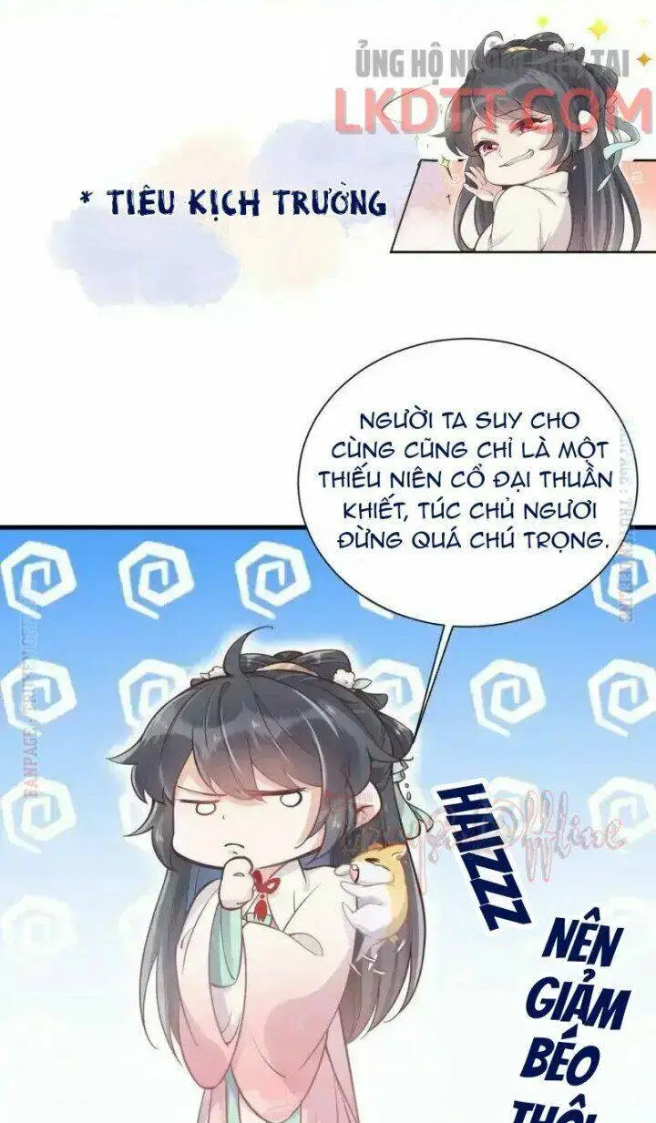 Chapter 3
