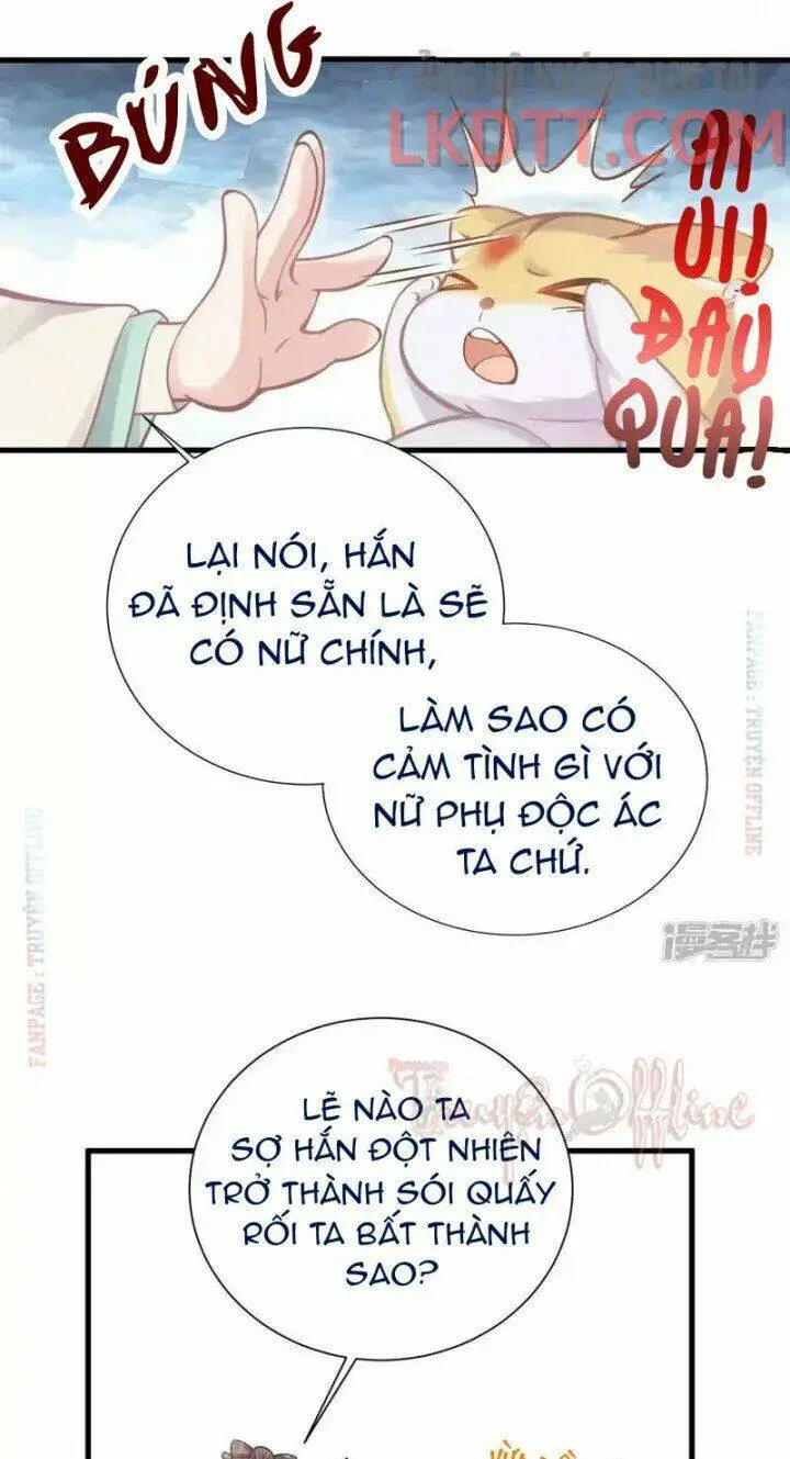 Chapter 3