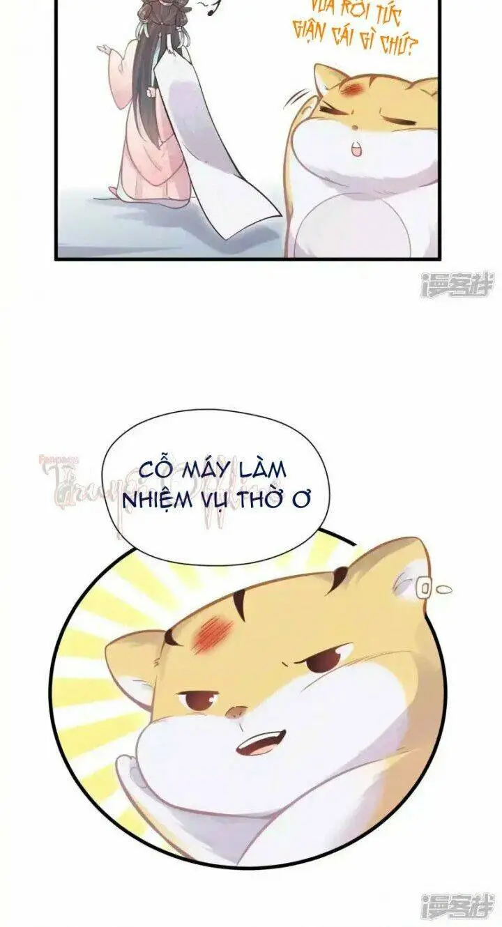 Chapter 3