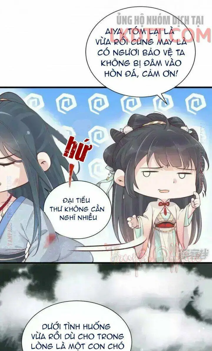 Chapter 3