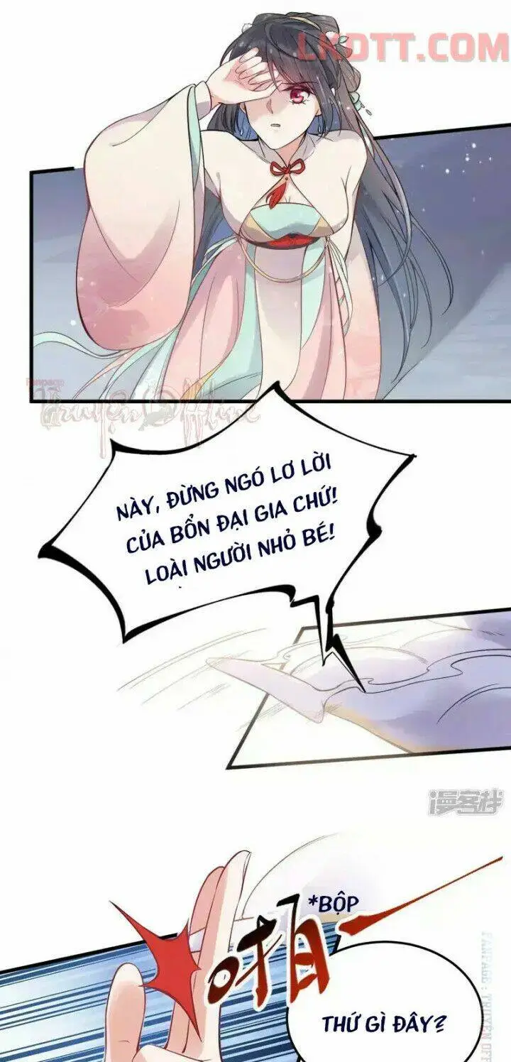 Chapter 2