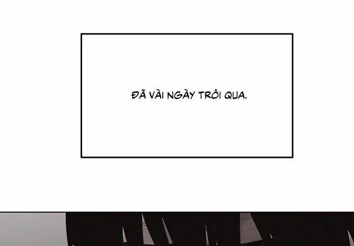 Chapter 19