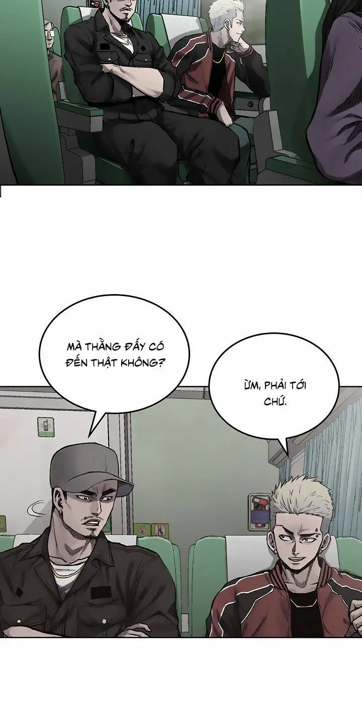 Chapter 19