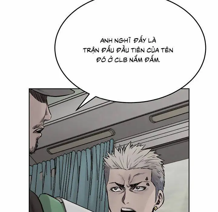 Chapter 19