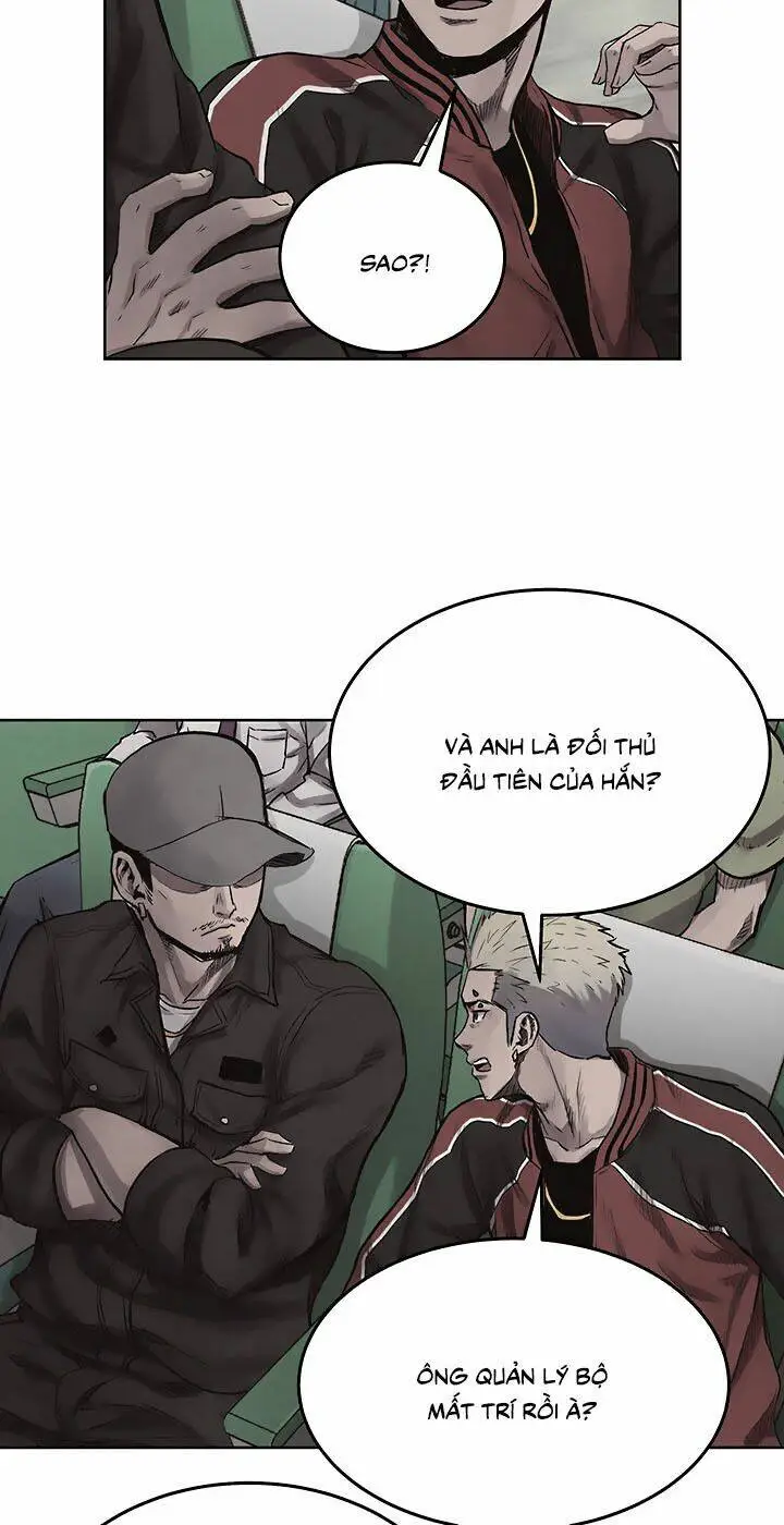 Chapter 19