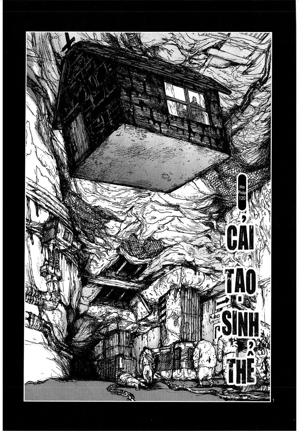 Chapter 120