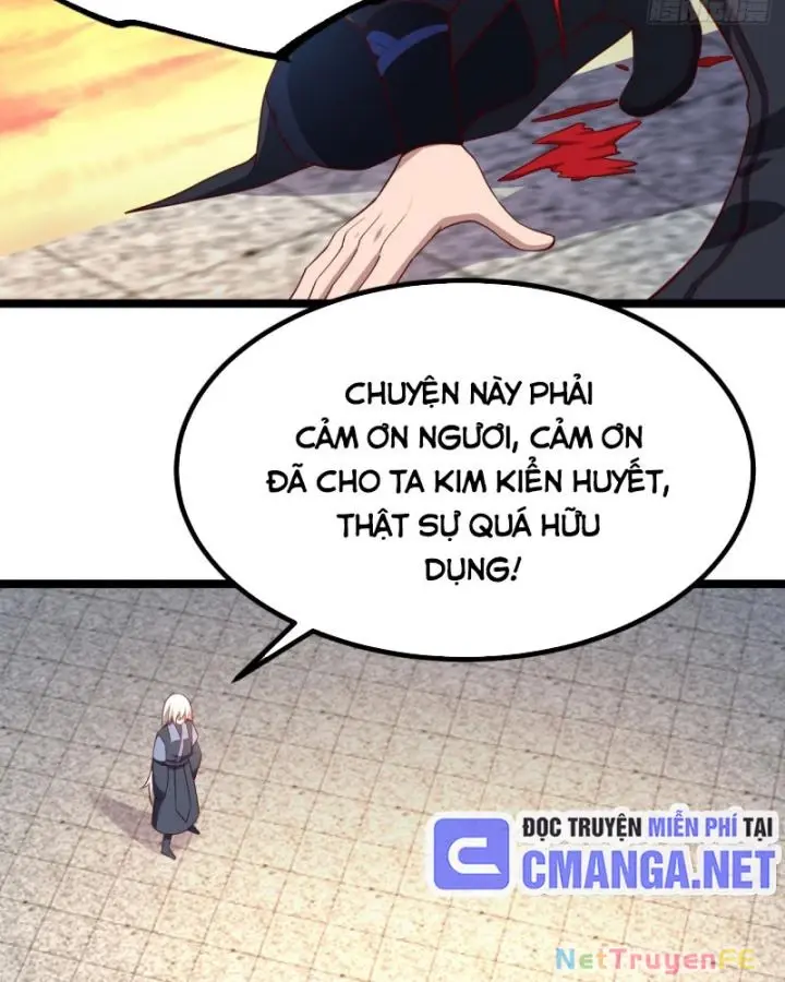 Chapter 41