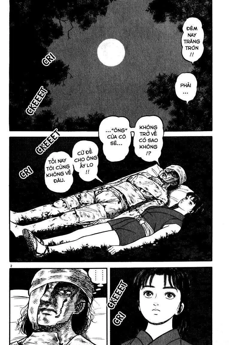 Chapter 51