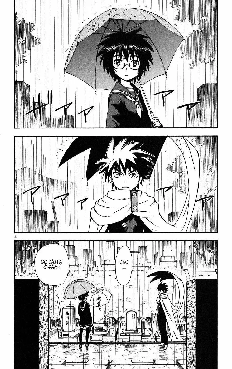 Chapter 15