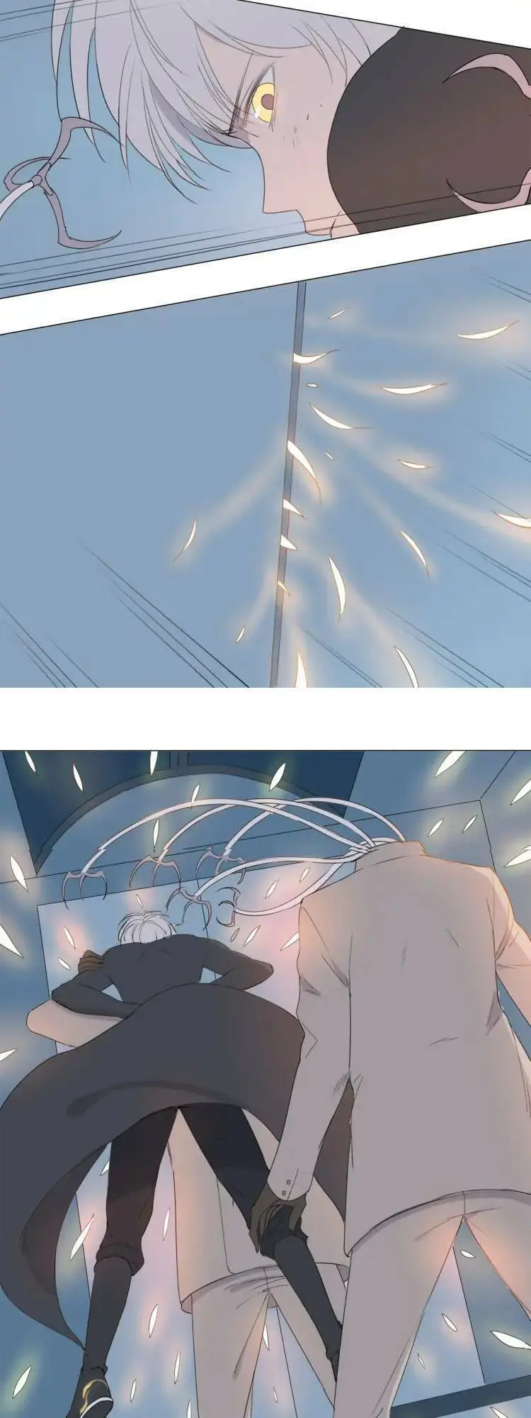 Chapter 16