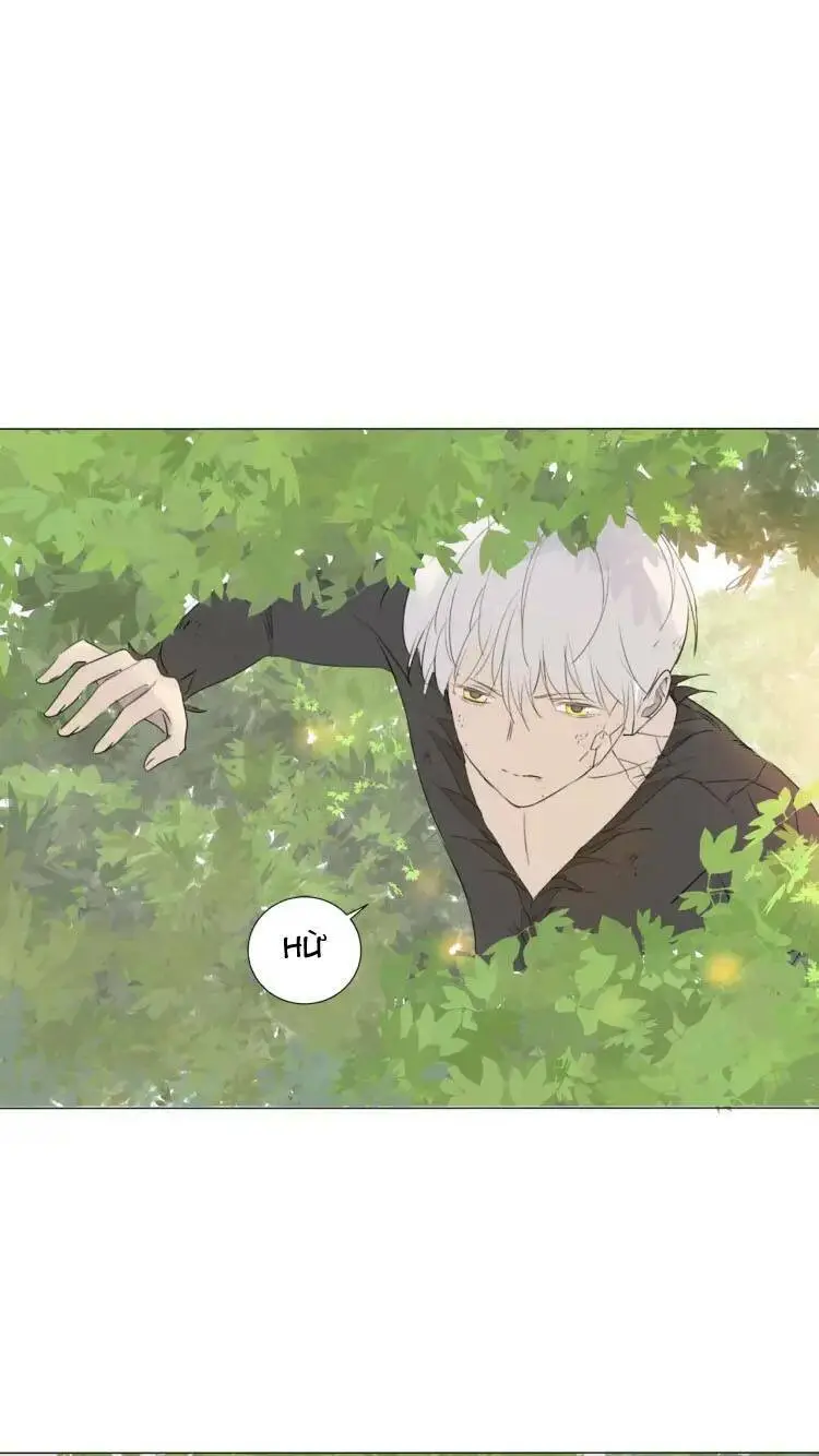 Chapter 16