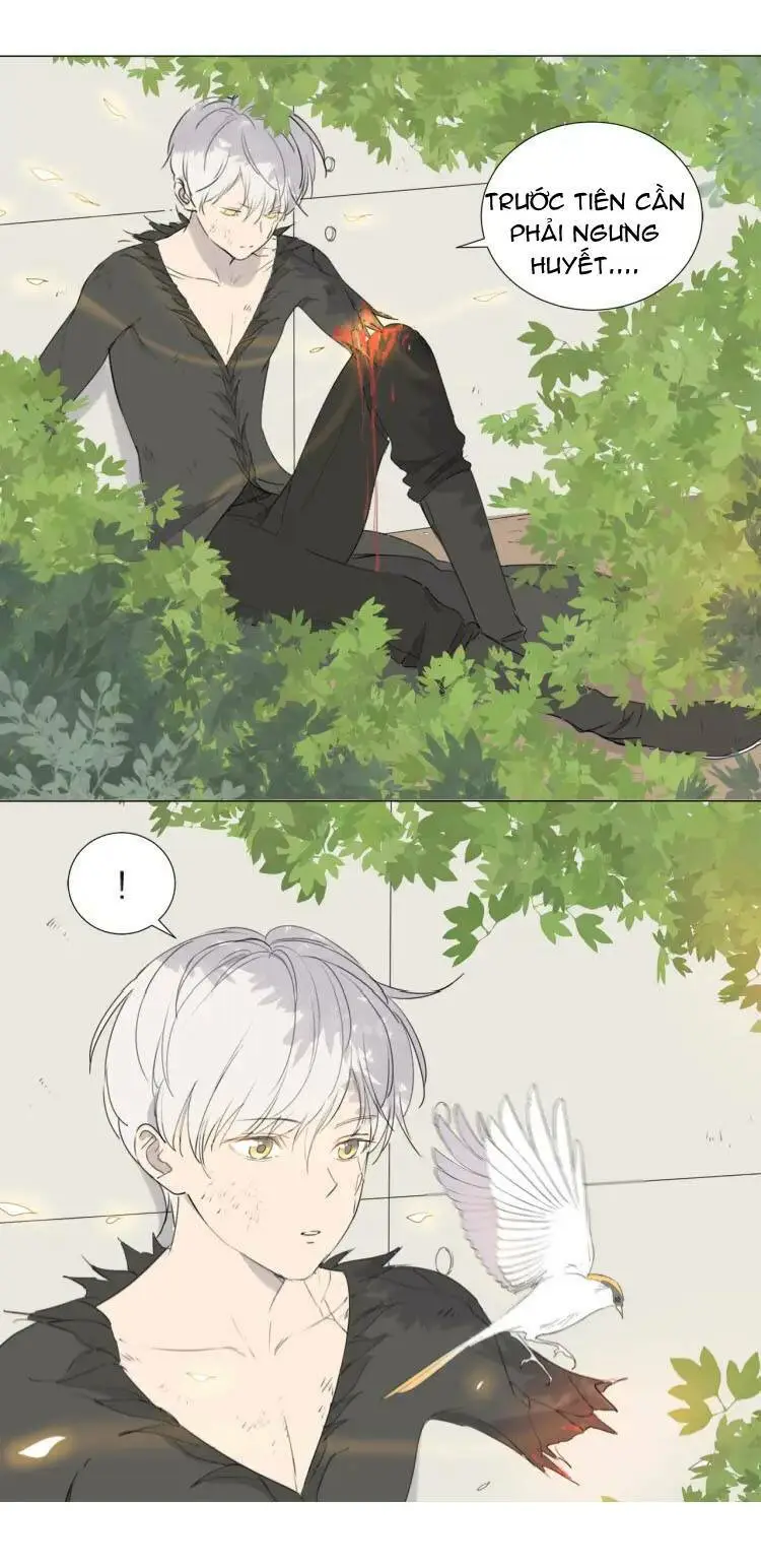 Chapter 16