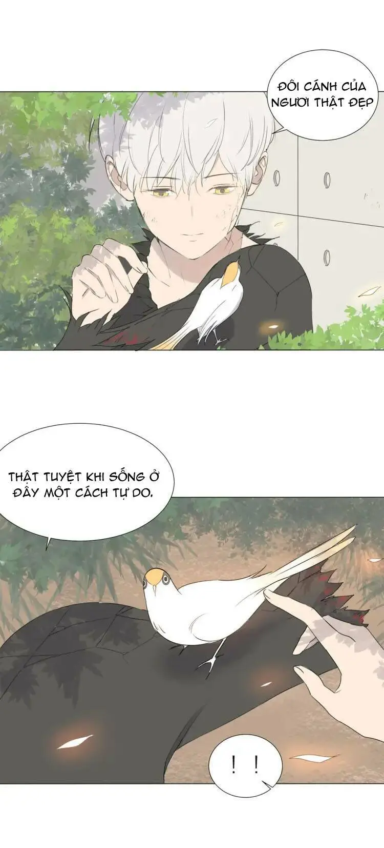 Chapter 16