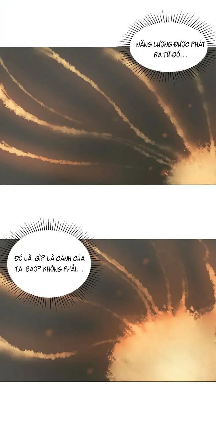 Chapter 16