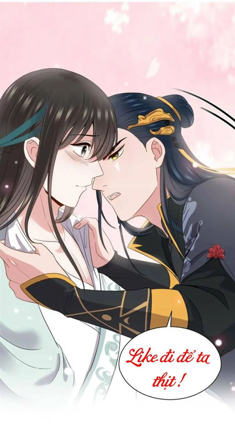 Chapter 16