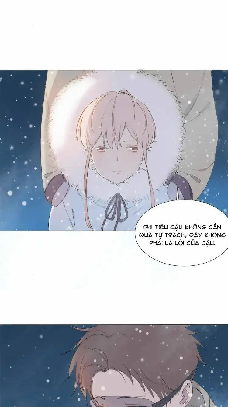 Chapter 12