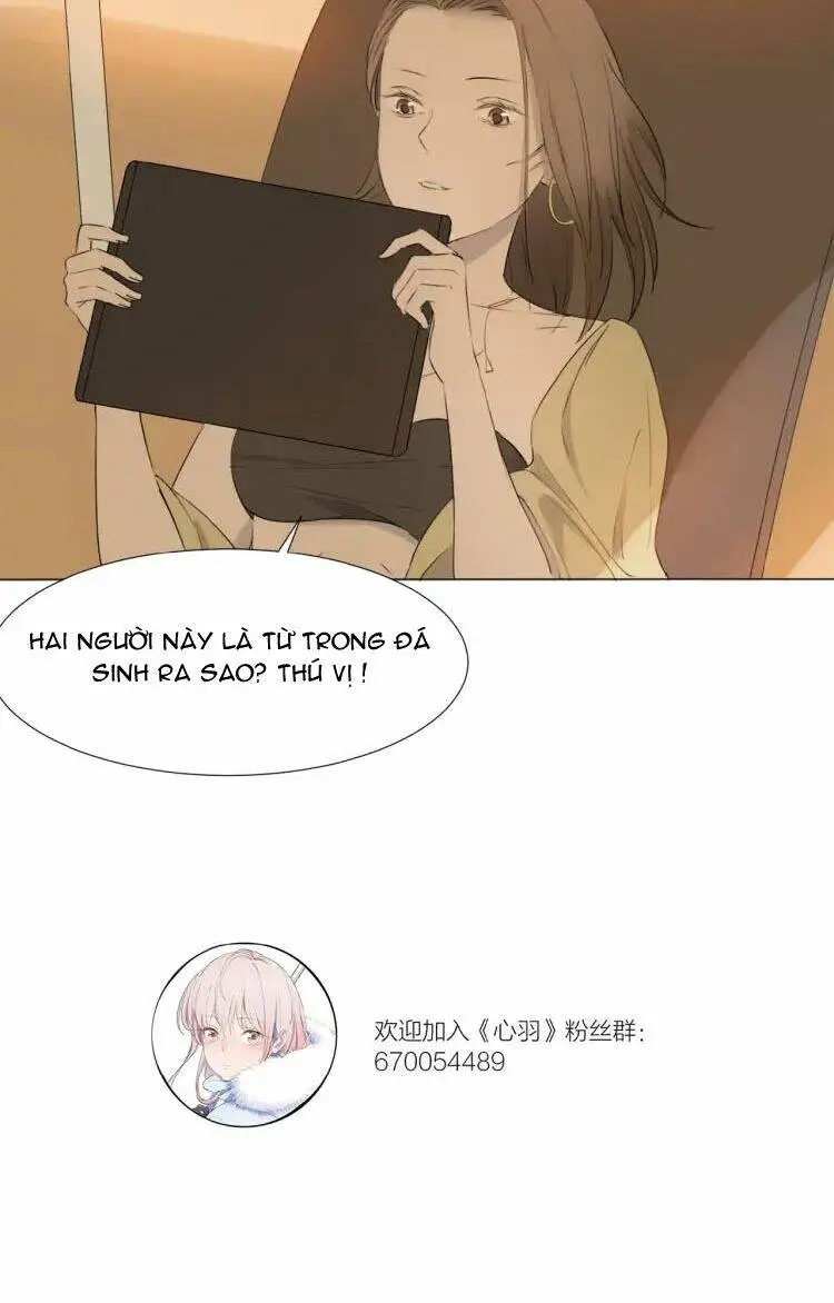 Chapter 12