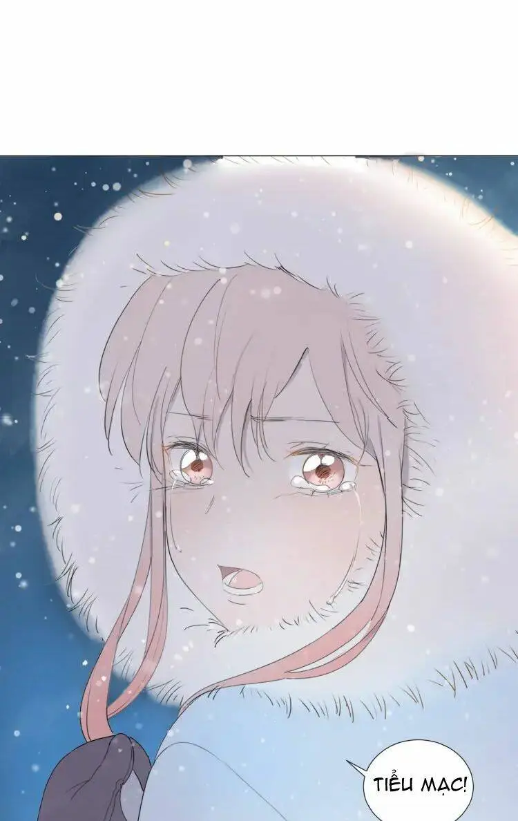 Chapter 12